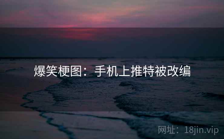 爆笑梗图：手机上推特被改编