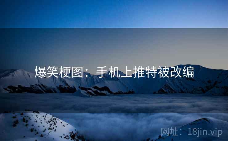 爆笑梗图：手机上推特被改编  第2张
