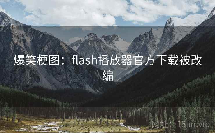 爆笑梗图：flash播放器官方下载被改编  第2张