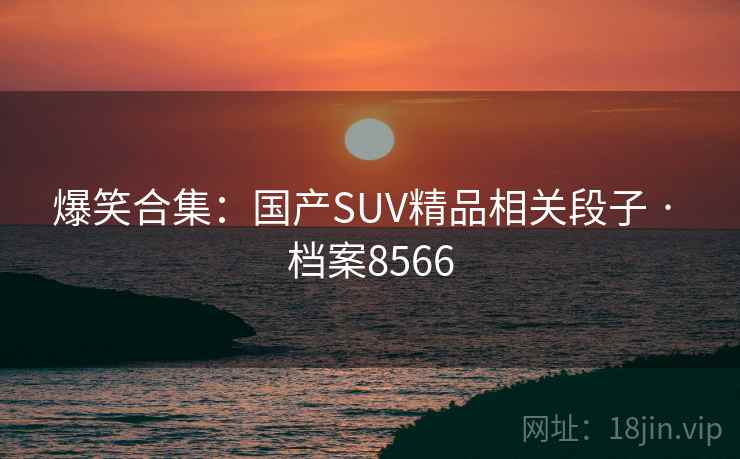 爆笑合集：国产SUV精品相关段子 · 档案8566  第2张